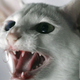 Image for article titled The Weirdest Medical Cases of 2019